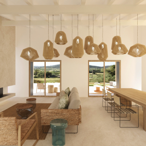 Biel-Ferriol_sala_op2-