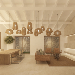 Biel-Ferriol_sala_op2-3